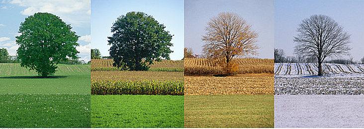 Xbox Series X|S相比Xbox One同期销量优势达146万台